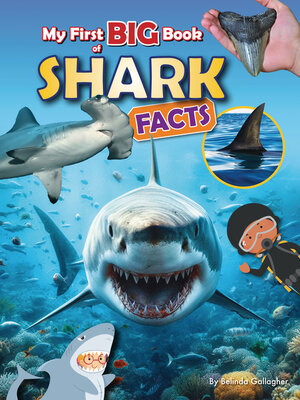 cover image of My First Big Book of Shark Facts